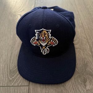 Vintage Starter Velcro back Florida Panthers hat